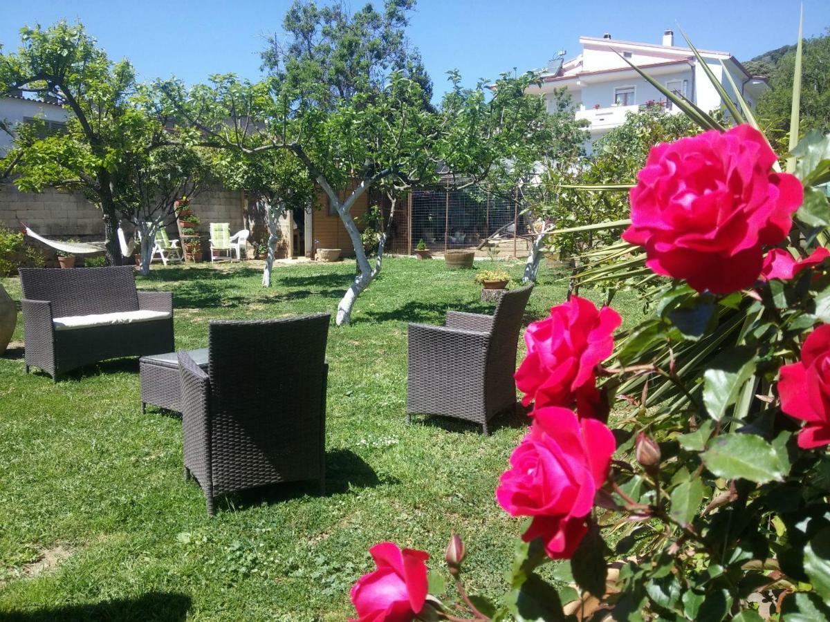Bed and Breakfast Zia Chiarina San Nicolo Gerrei Exterior foto