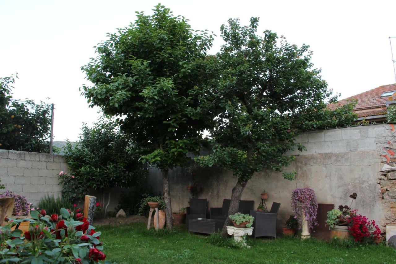 Bed and Breakfast Zia Chiarina San Nicolo Gerrei Exterior foto